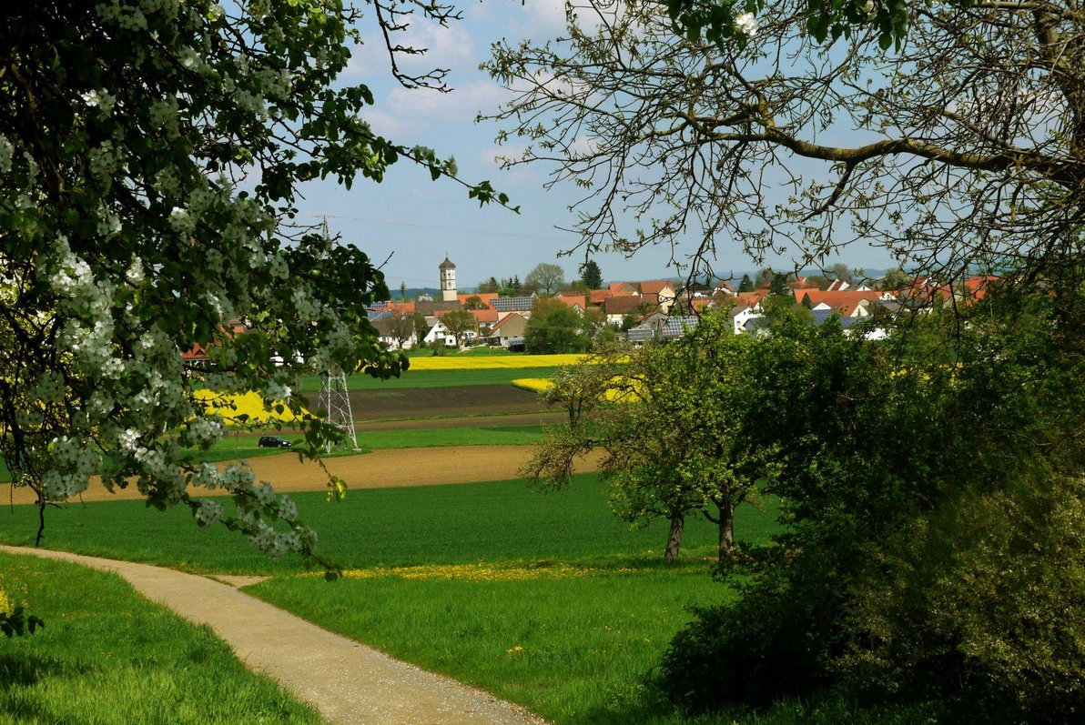 Blick auf Goldburghausen von Süden